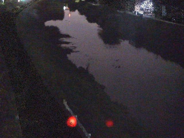 新大縄橋付近のカメラ画像