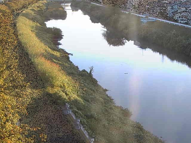 新大縄橋付近のカメラ画像