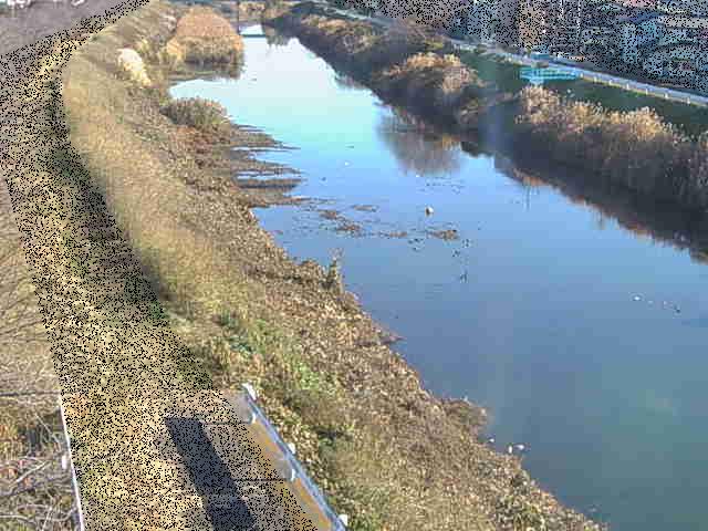 新大縄橋付近のカメラ画像