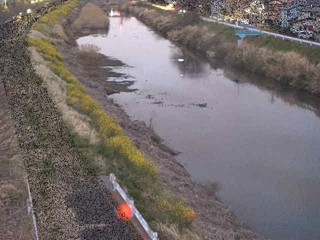 渋田川 新大縄橋付近のカメラ画像
