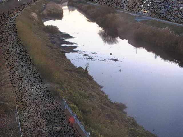 渋田川 新大縄橋付近のカメラ画像