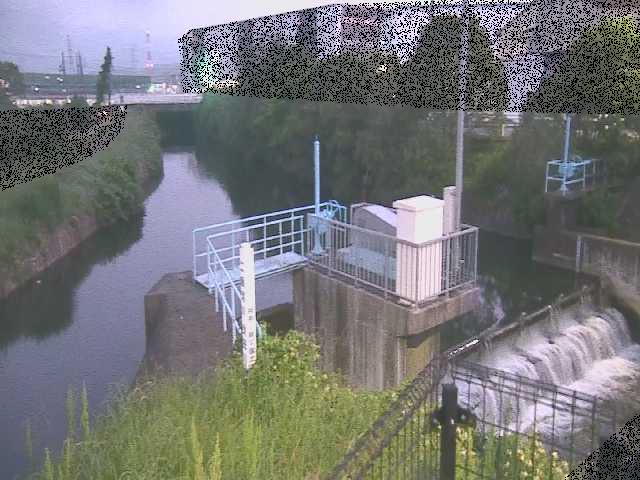 渋田川分水路 渋田新橋付近のカメラ画像