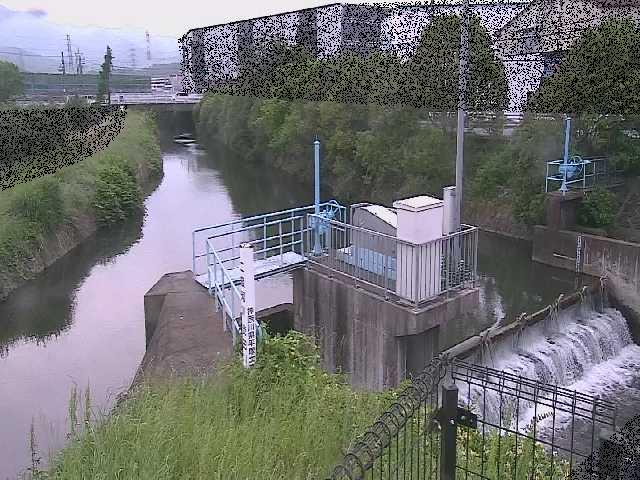 渋田新橋付近のカメラ画像