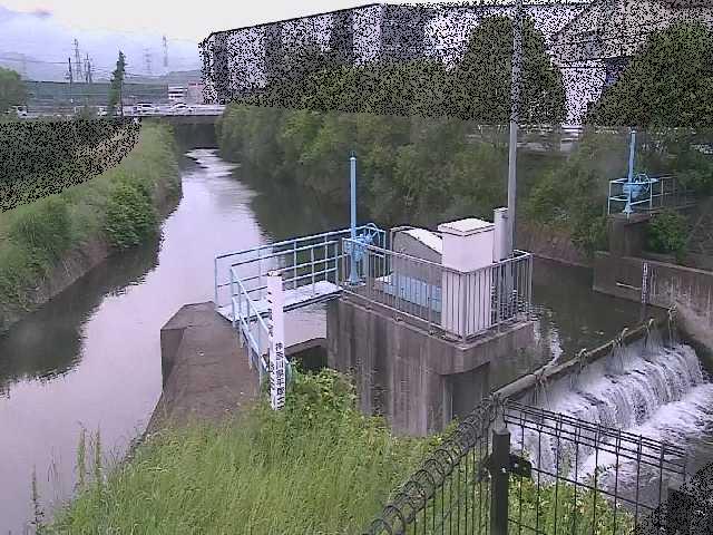 渋田川分水路 渋田新橋付近のカメラ画像