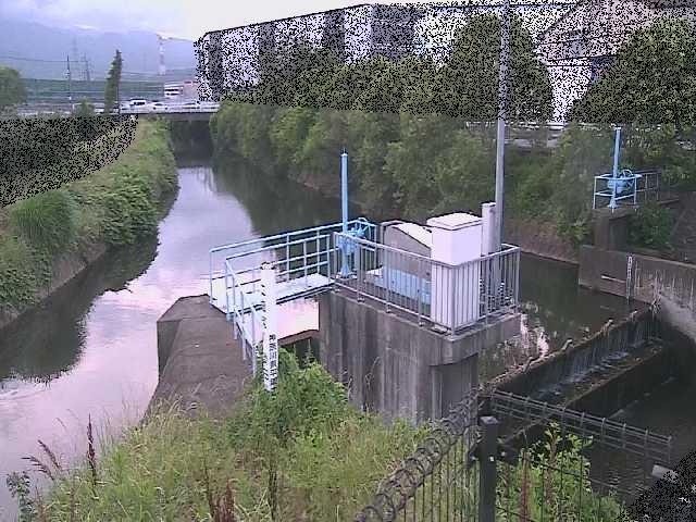 渋田川分水路 渋田新橋付近のカメラ画像