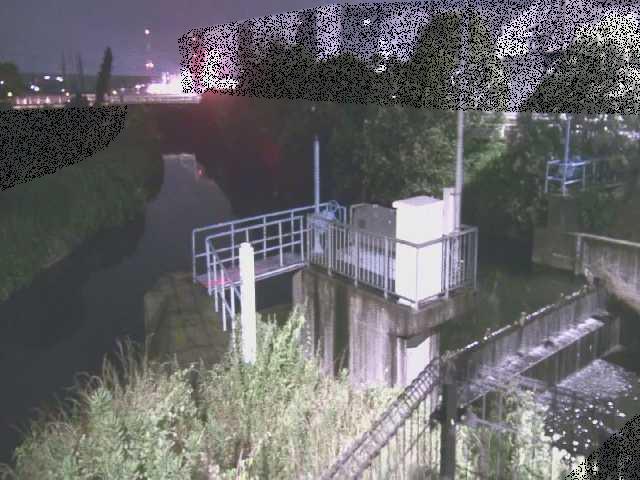 渋田川分水路 渋田新橋付近のカメラ画像