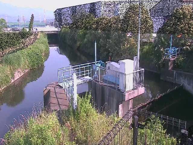 渋田新橋付近のカメラ画像