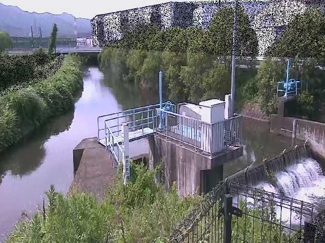渋田川分水路 渋田新橋付近のカメラ画像