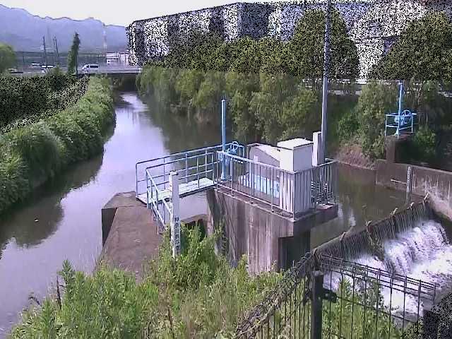 渋田新橋付近のカメラ画像