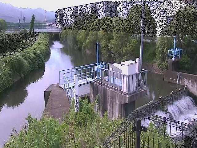 渋田新橋付近のカメラ画像