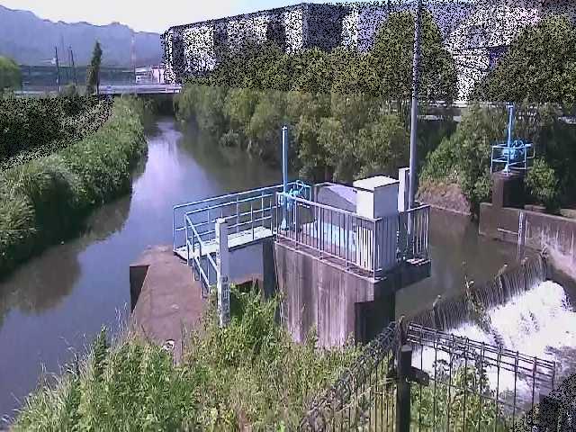 渋田新橋付近のカメラ画像