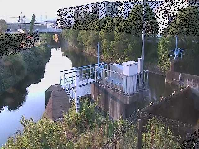 渋田川分水路 渋田新橋付近のカメラ画像
