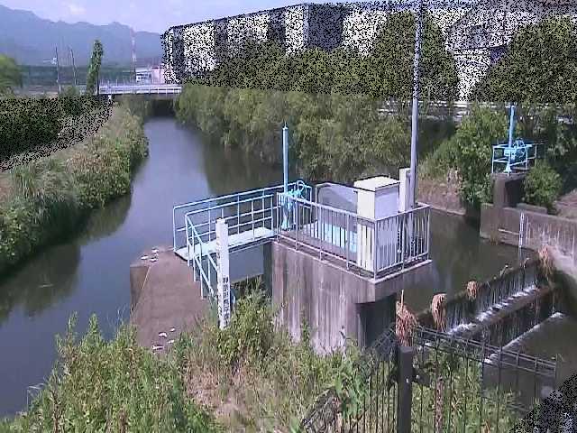 渋田川分水路 渋田新橋付近のカメラ画像