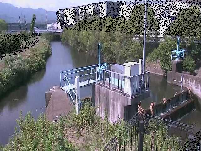 渋田新橋付近のカメラ画像