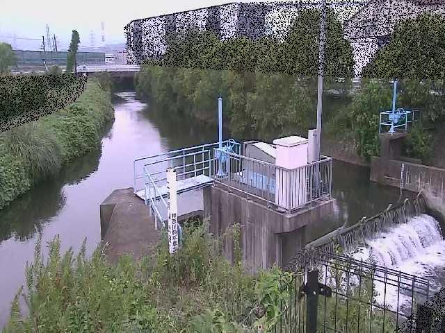 渋田新橋付近のカメラ画像