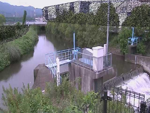 渋田川分水路 渋田新橋付近のカメラ画像
