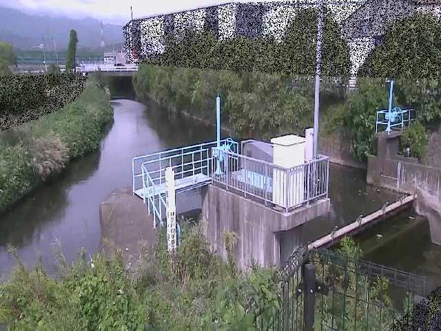 渋田川分水路 渋田新橋付近のカメラ画像