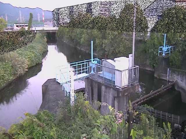 渋田川分水路 渋田新橋付近のカメラ画像