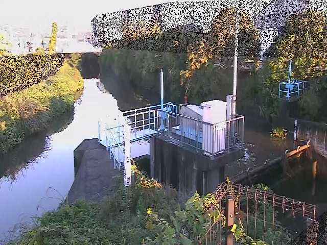 渋田新橋付近のカメラ画像