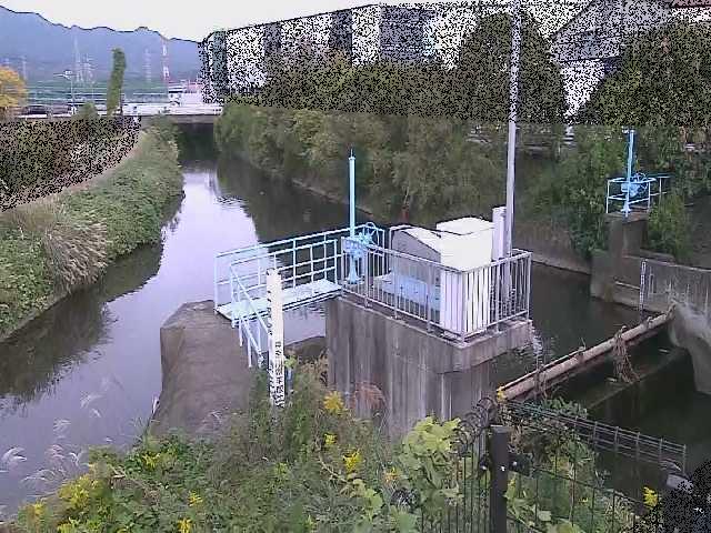 渋田川分水路 渋田新橋付近のカメラ画像