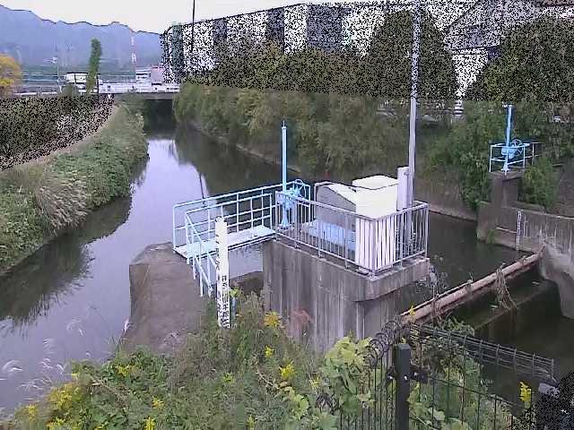 渋田川分水路 渋田新橋付近のカメラ画像