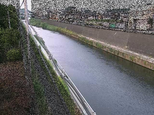柏尾川 神鋼橋付近のカメラ画像