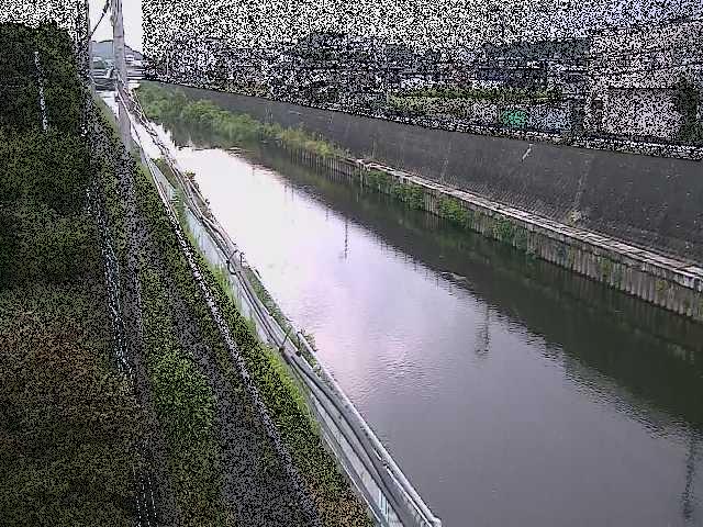 柏尾川 神鋼橋付近のカメラ画像