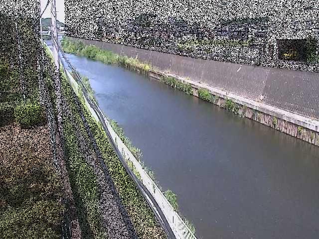 柏尾川 神鋼橋付近のカメラ画像
