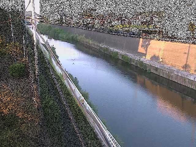 柏尾川 神鋼橋付近のカメラ画像