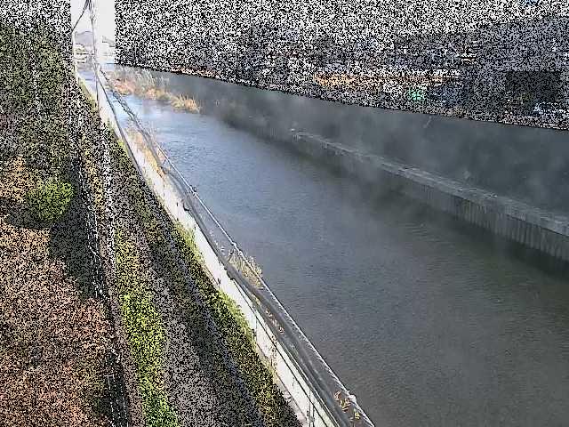 柏尾川 神鋼橋付近のカメラ画像