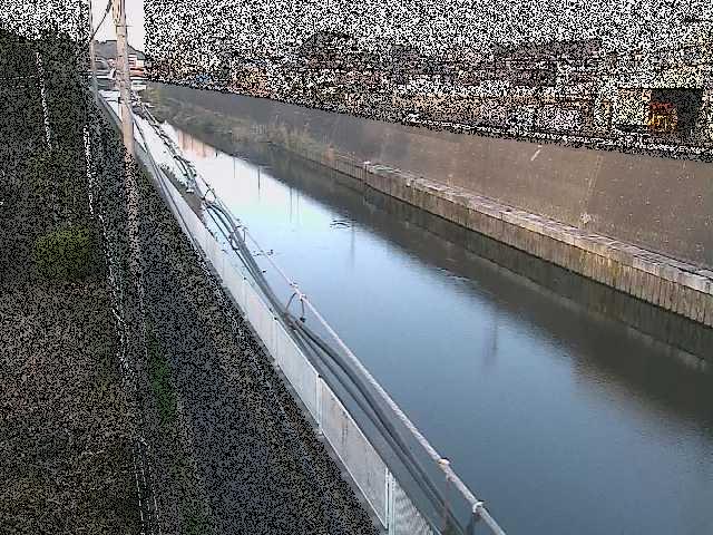 柏尾川 神鋼橋付近のカメラ画像