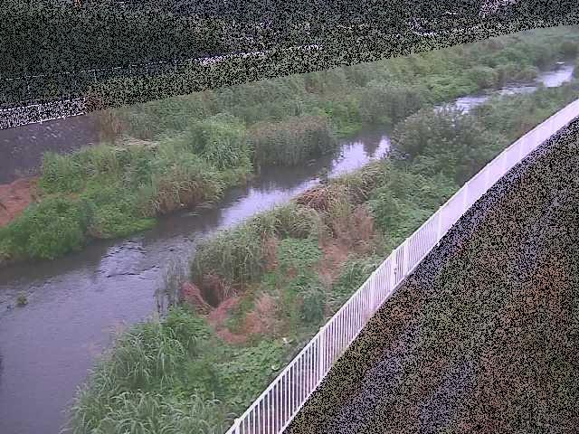 小出川 一ツ橋付近のカメラ画像