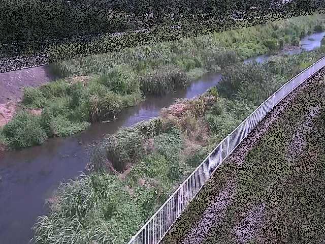 小出川 一ツ橋付近のカメラ画像