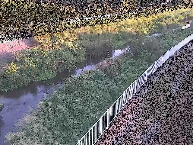 小出川 一ツ橋付近のカメラ画像