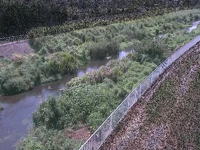 小出川 一ツ橋付近のカメラ画像