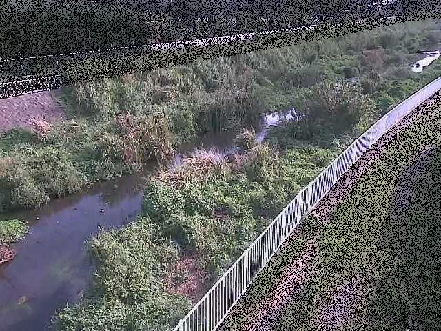 小出川 一ツ橋付近のカメラ画像