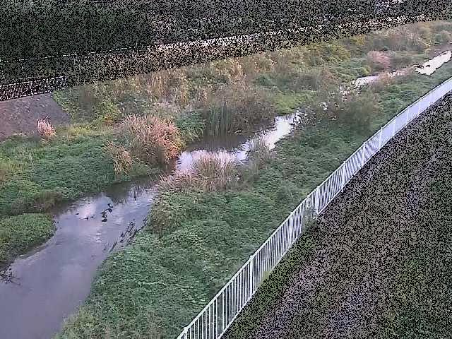 小出川 一ツ橋付近のカメラ画像