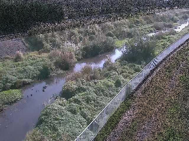 一ツ橋付近のカメラ画像