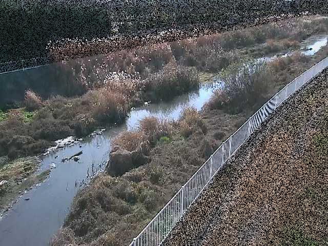 小出川 一ツ橋付近のカメラ画像