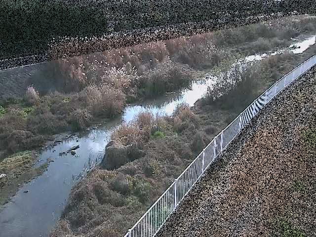 一ツ橋付近のカメラ画像