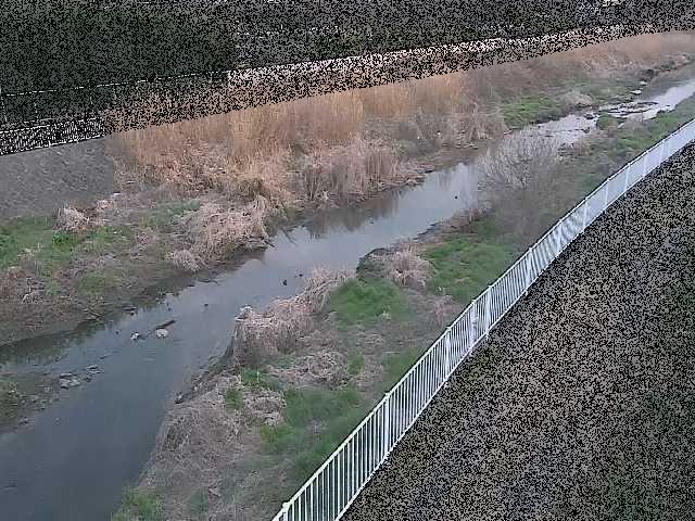 小出川 一ツ橋付近のカメラ画像