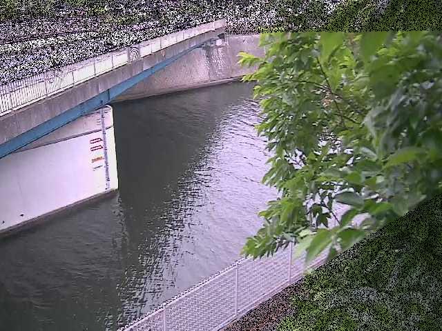 境川橋付近のカメラ画像