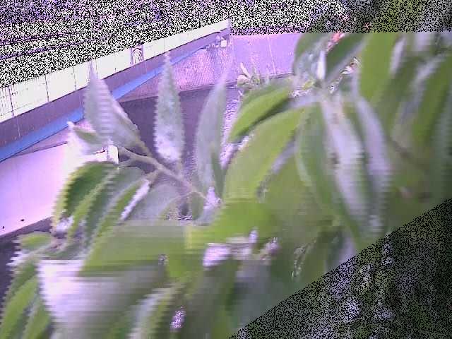 境川橋付近のカメラ画像