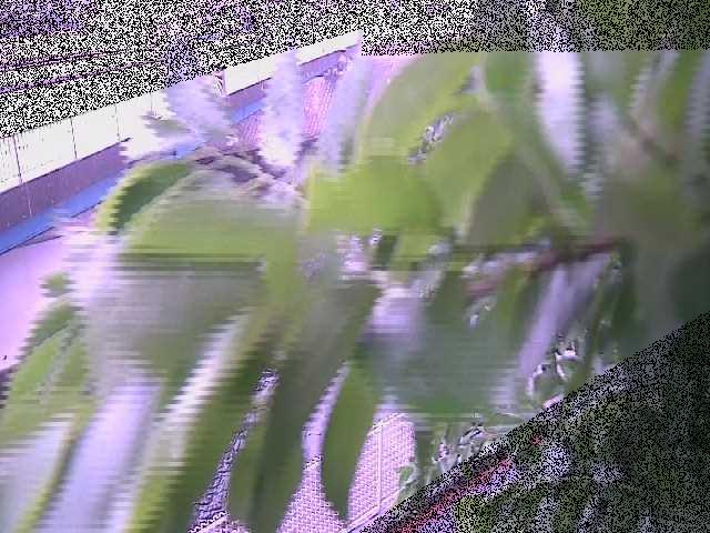 境川橋付近のカメラ画像