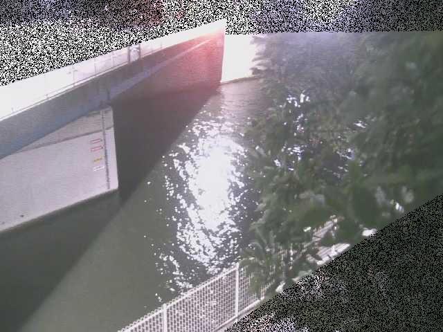 境川 境川橋付近のカメラ画像