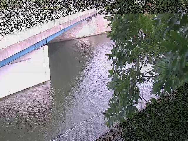 境川橋付近のカメラ画像