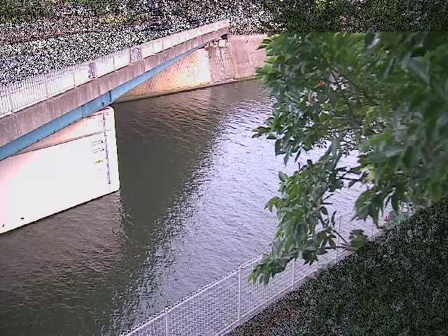 境川 境川橋付近のカメラ画像