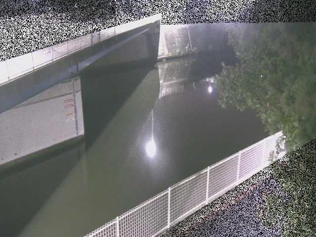 境川 境川橋付近のカメラ画像
