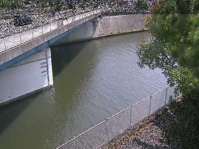 境川橋付近のカメラ画像