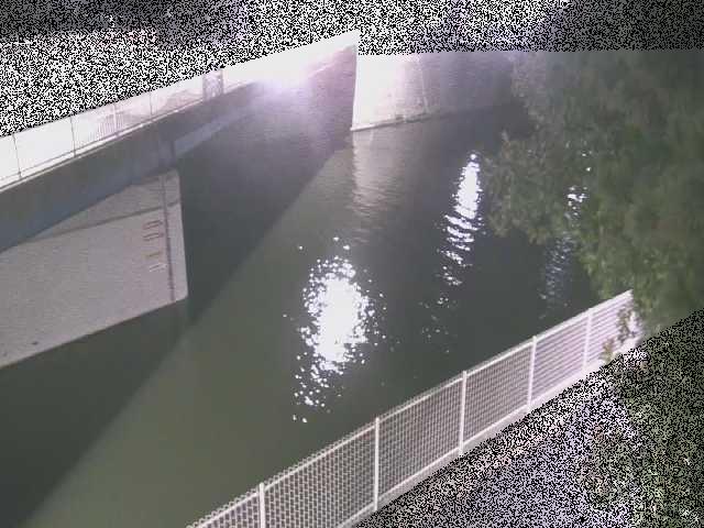 境川 境川橋付近のカメラ画像